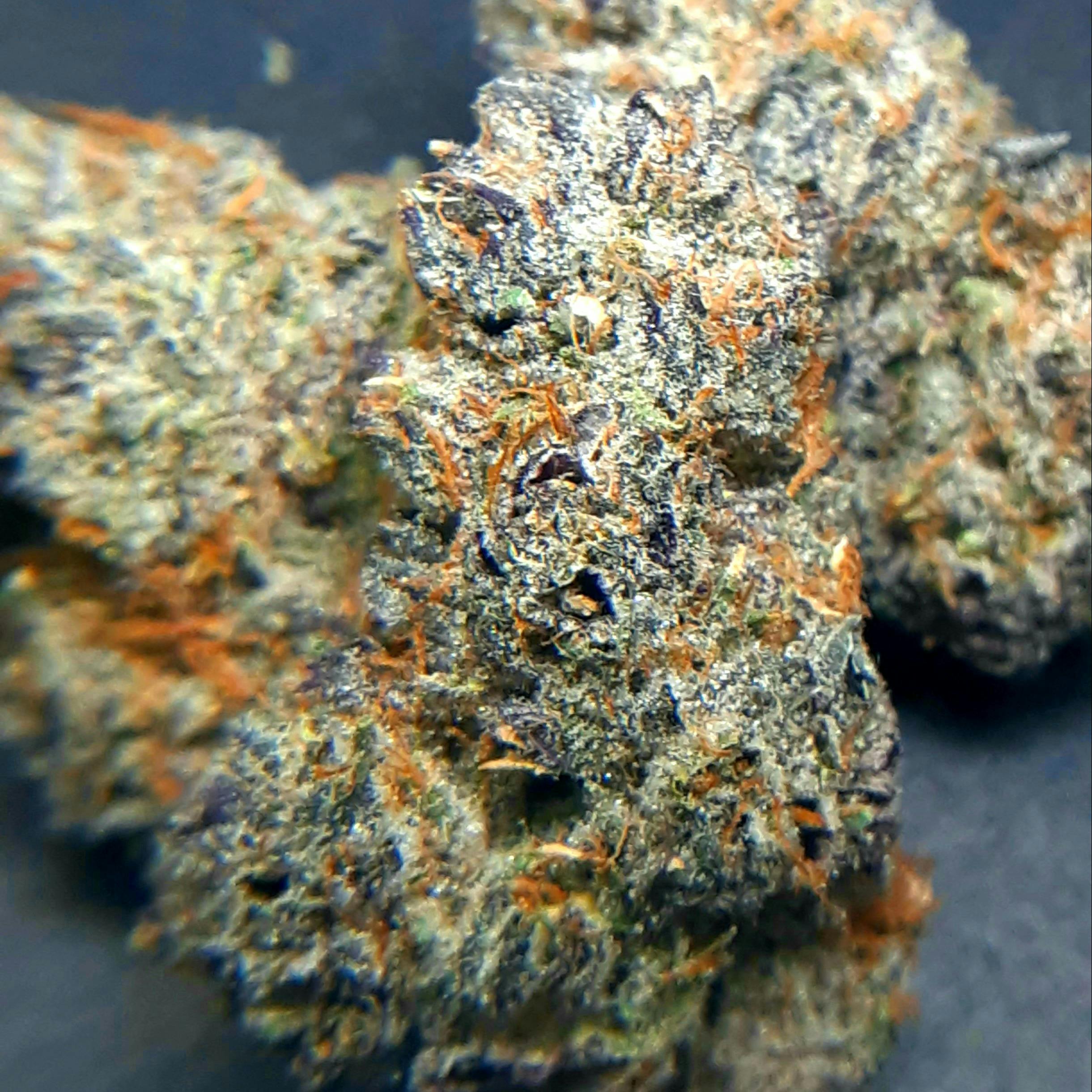 Cookies Gelato